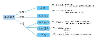 科技与生态的完美交融 上海奥帆助力巢湖北大未名生物展示中心多媒体项目成功落地